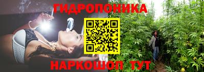 прущие грибы Ливны