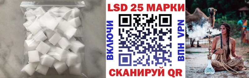 даркнет клад  Великий Устюг  ЛСД экстази ecstasy 