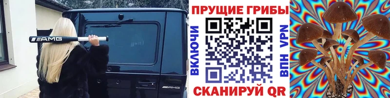 Галлюциногенные грибы ЛСД  Великий Устюг 