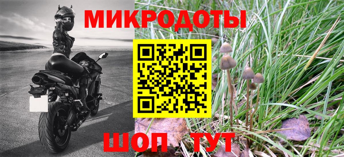 Псилоцибиновые грибы Psilocybine cubensis Великий Устюг