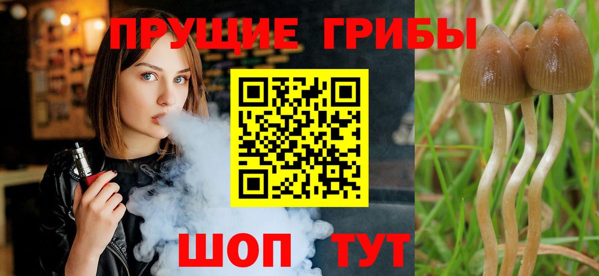наркошоп  Псилоцибиновые грибы MAGIC MUSHROOMS  Вход с VPN  Великий Устюг 