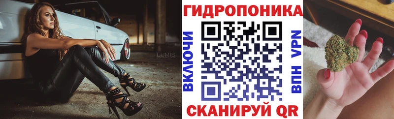 купить закладку  Великий Устюг  Бошки марихуана ГИДРОПОН 